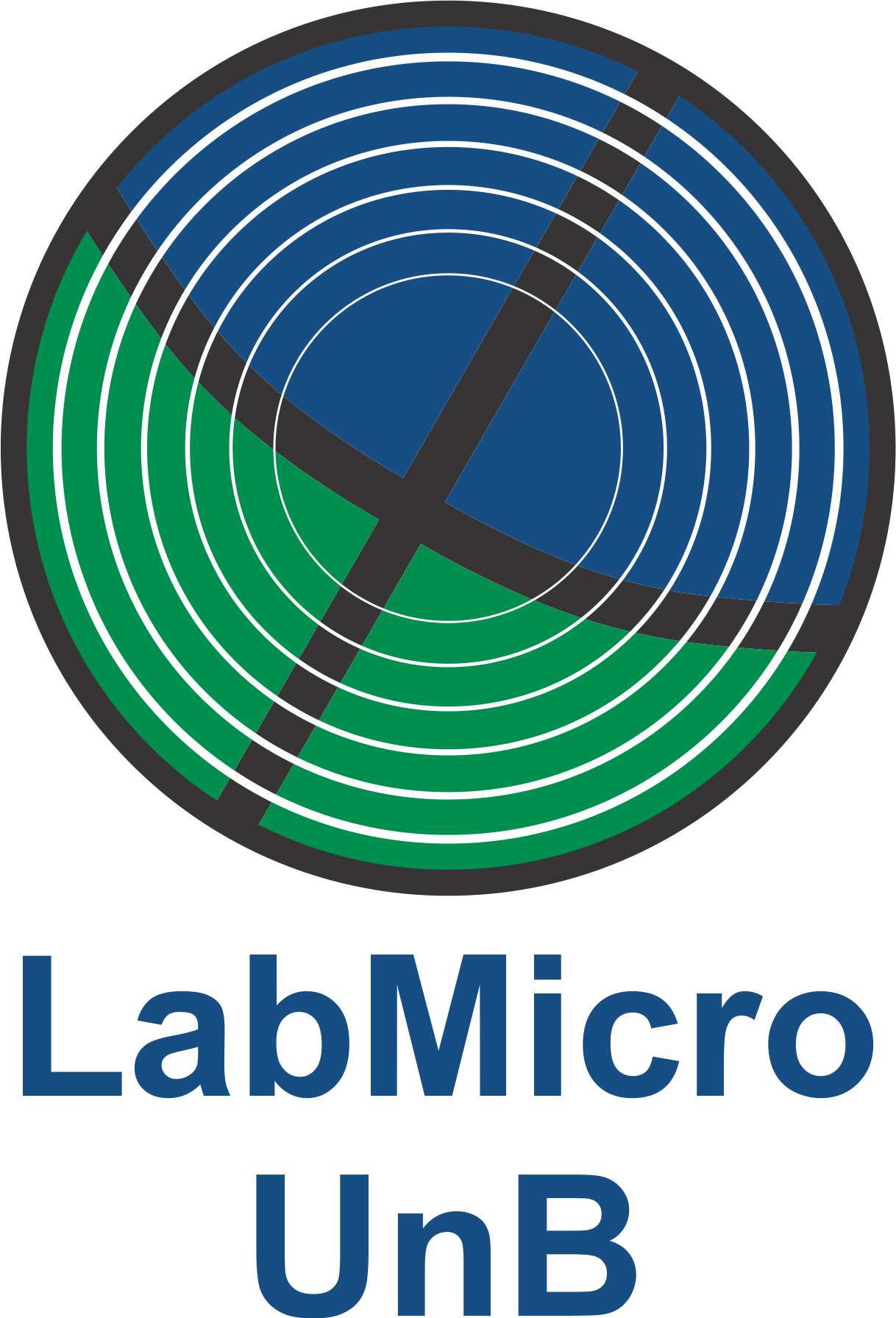 Logo LabMicro colorido compacto