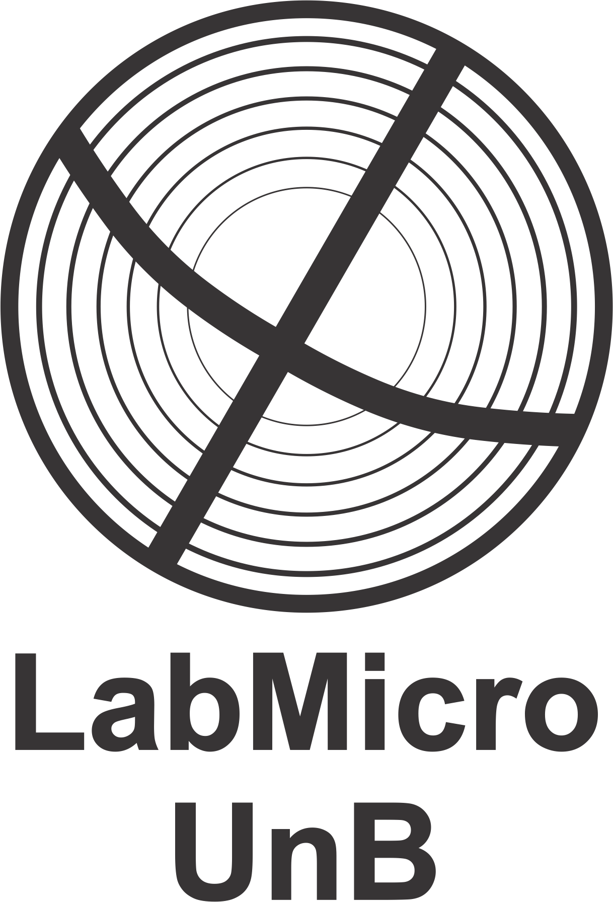 Logo LabMicro preto compacto